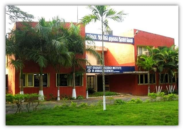 College Image